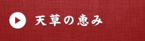 天草の恵みページ
