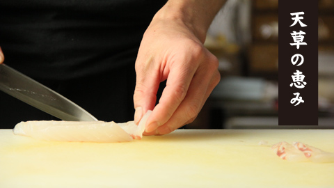 天草の恵み