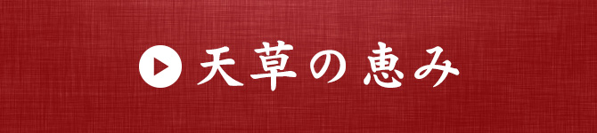 天草の恵み