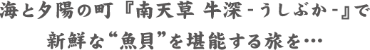 海と夕陽の町『南天草 牛深-うしぶか-』で新鮮な“魚貝”を堪能する旅を…